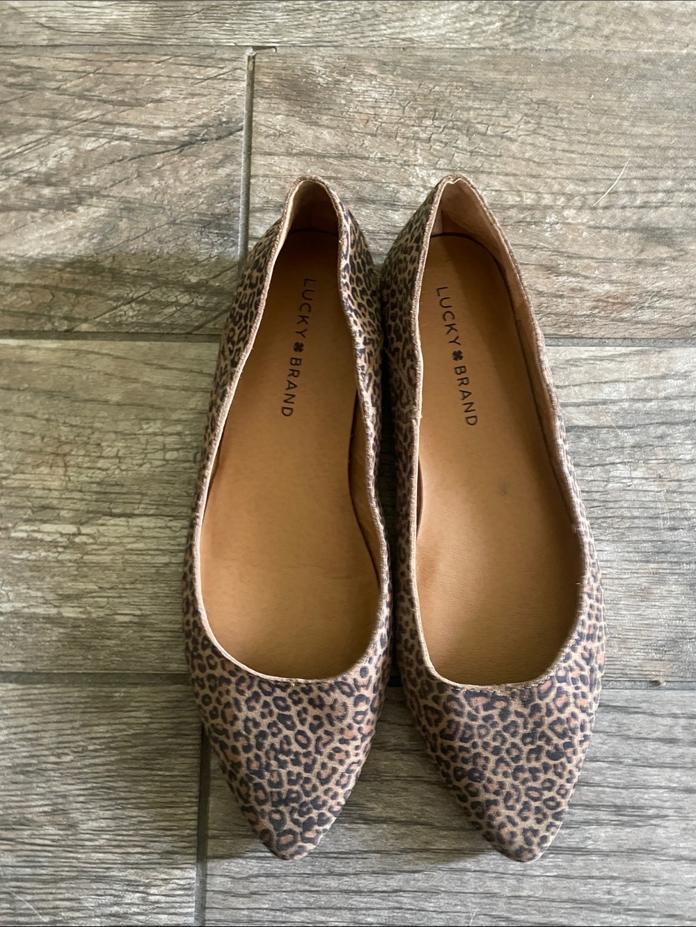Lucky Brand Women's Leopard-Print Pointed Toe Flats - Tan & Black